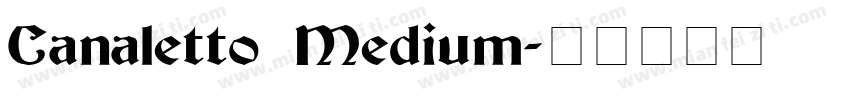 Canaletto Medium字体转换